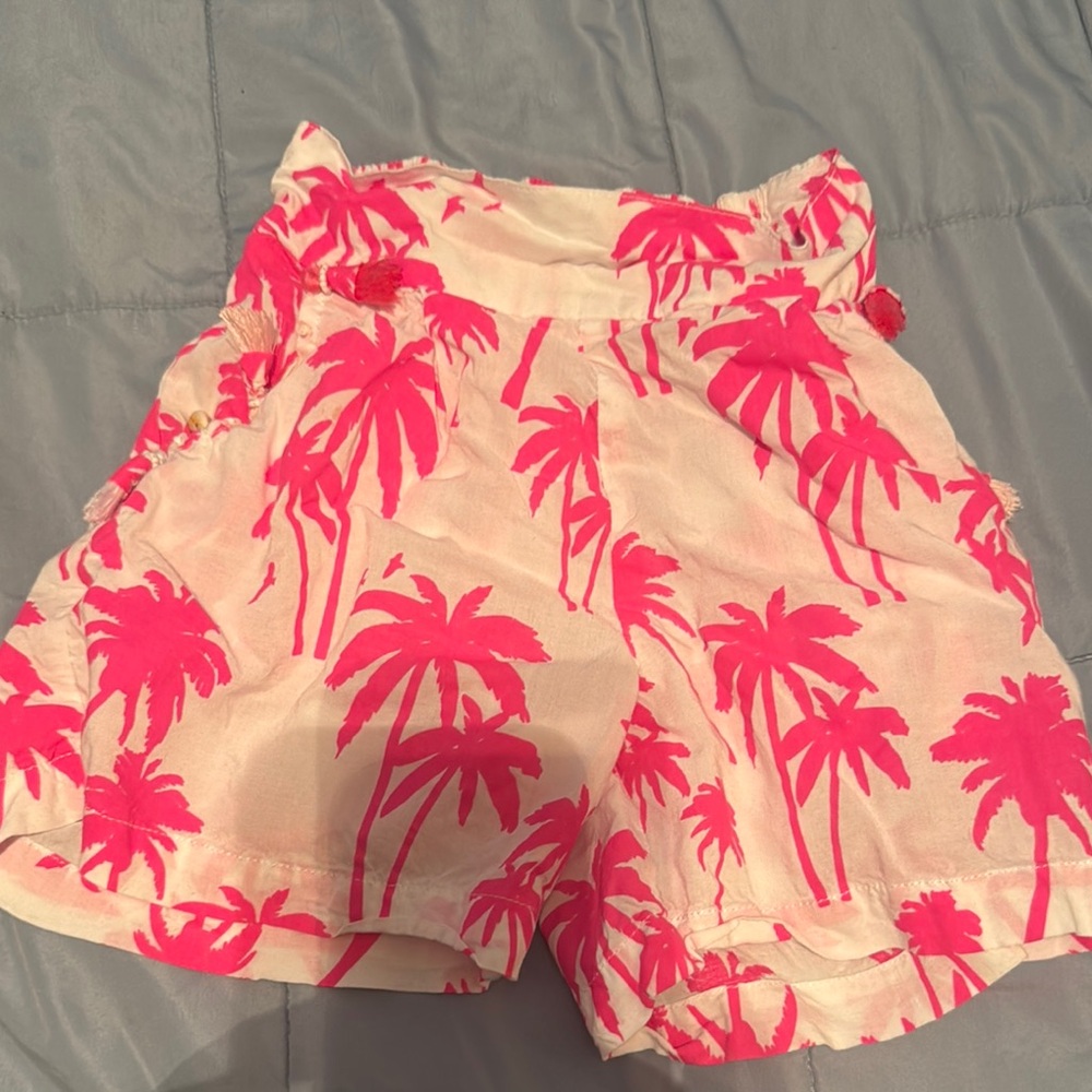 Tropical Pink Palm Tree Women's Shorts